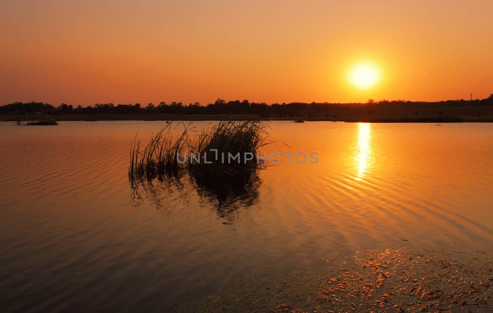 Hot sizzling sun rising over Boorooberongal Lake Penrith