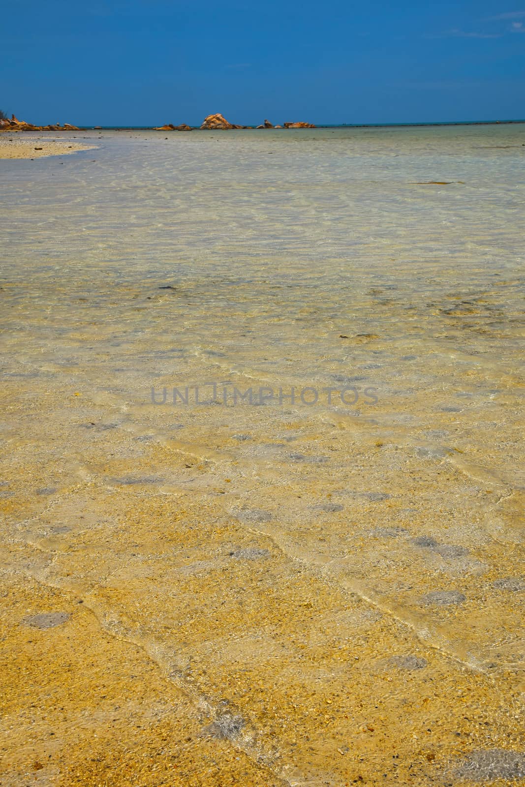 Tranquil seascape of tropical island sand beach during low tide, clear sea water and blue sky with horizon, summer day, low angle view
