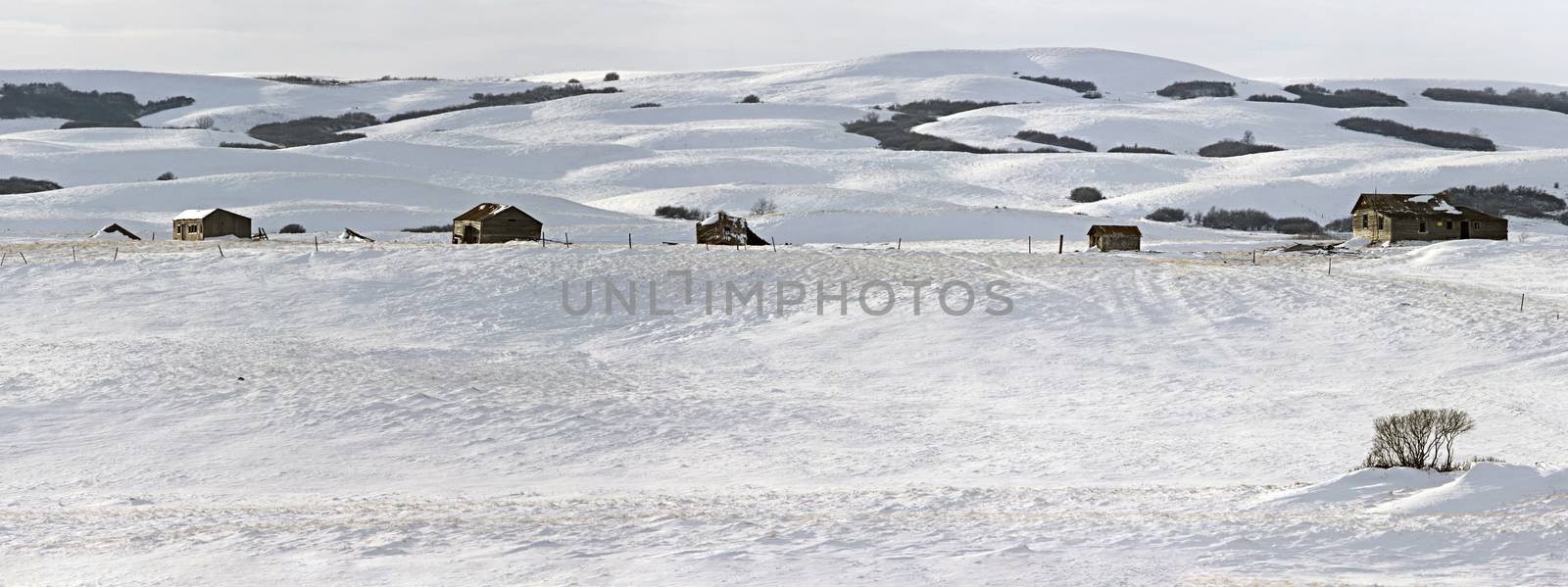 Winter Landscape Prairie in Saskatchewan Canada homestead