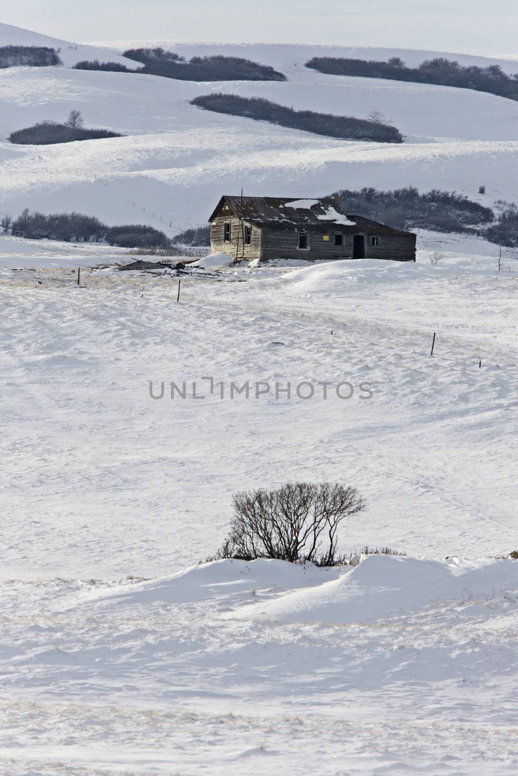 Winter Landscape Prairie by pictureguy