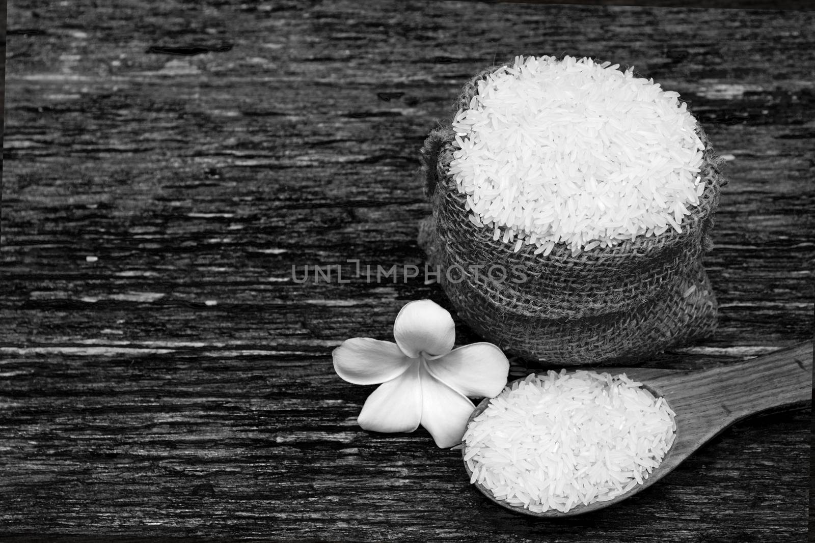 White uncooked rice with White uncooked  rice on wooden spoon, Thai rice on wooden background