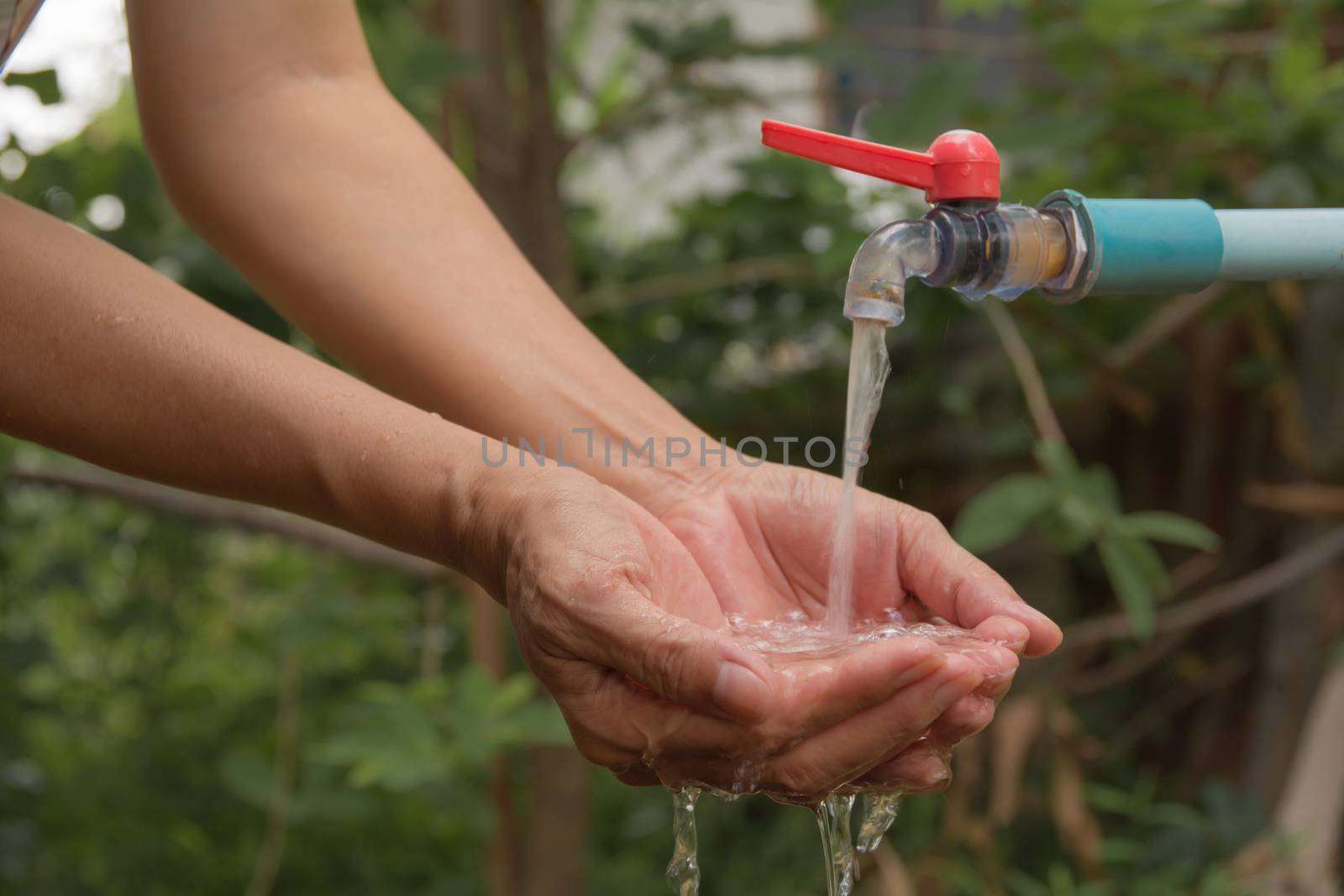 Water pouring in woman hand on nature background.