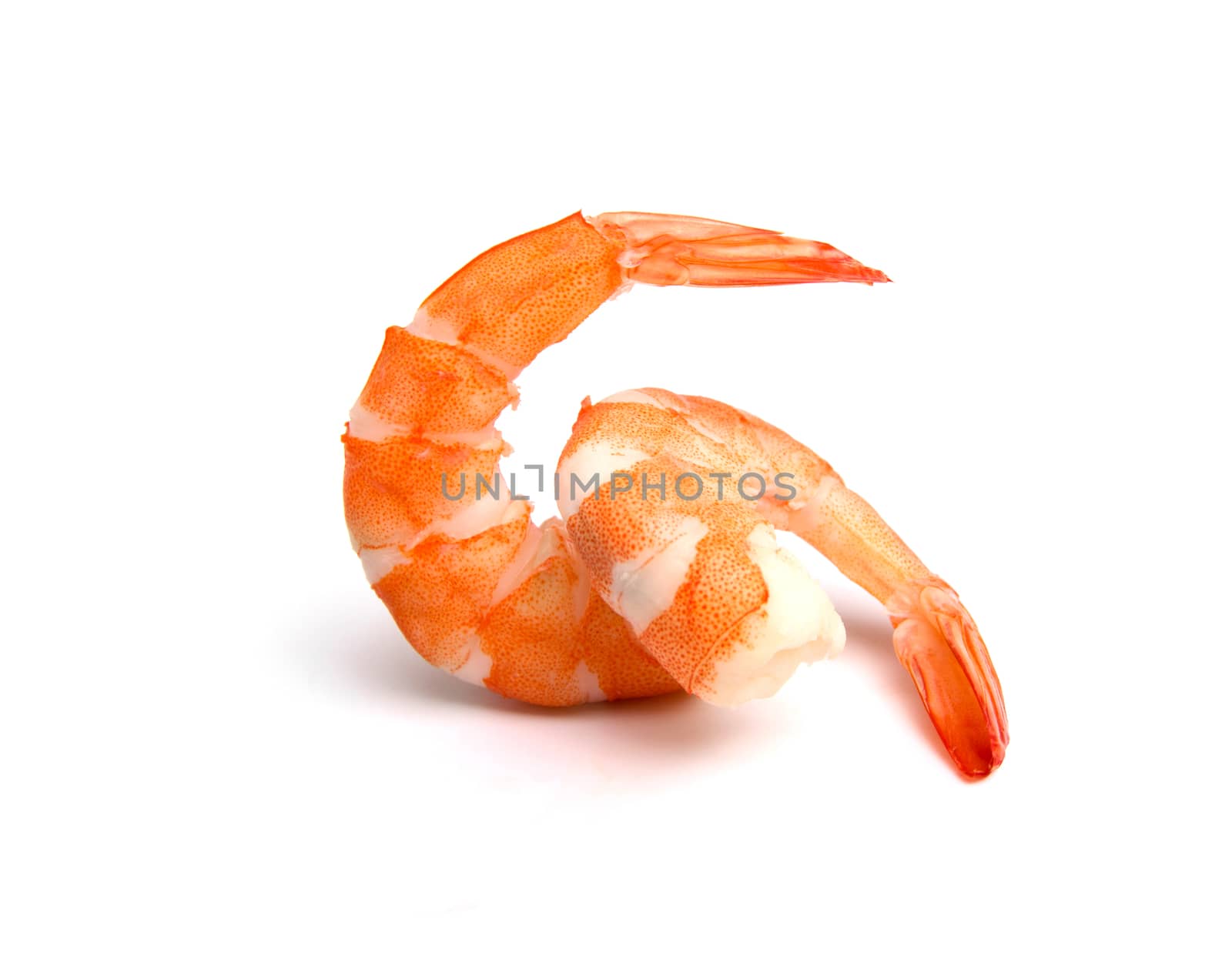 orange shrimps isolated on a white background by kirisa99