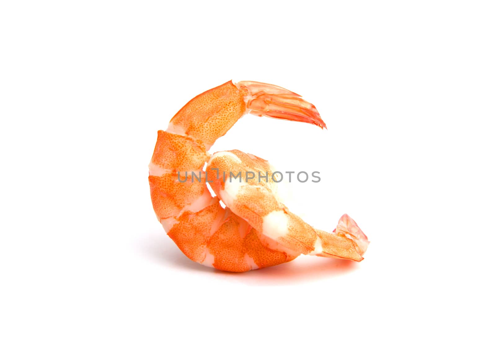orange shrimps isolated on a white background by kirisa99