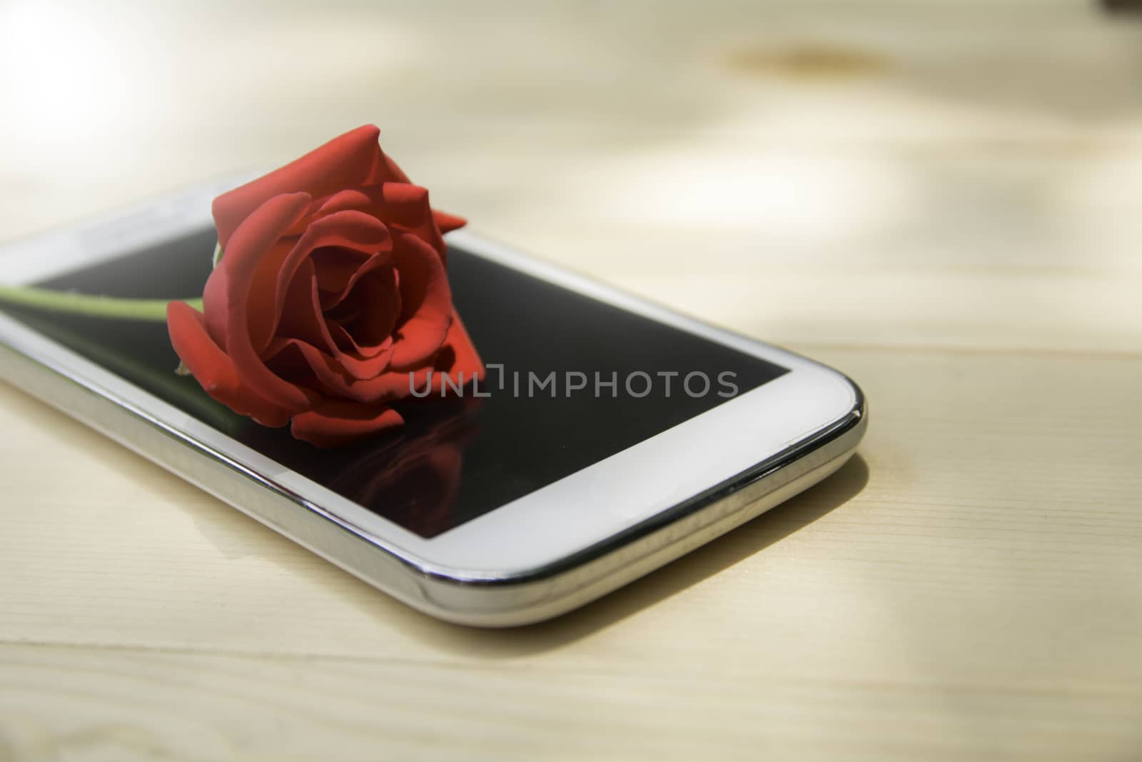 red rose on mobile phone with blank screen on wooden table background