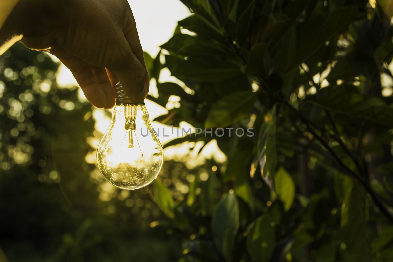 Hand of person holding light bulb for idea for success or solar energy by kirisa99