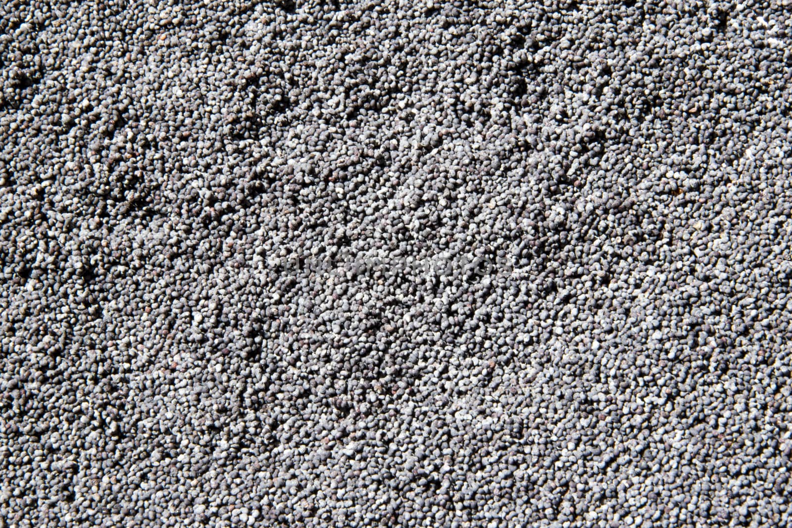 closeup of dried poppy seeds as a background.