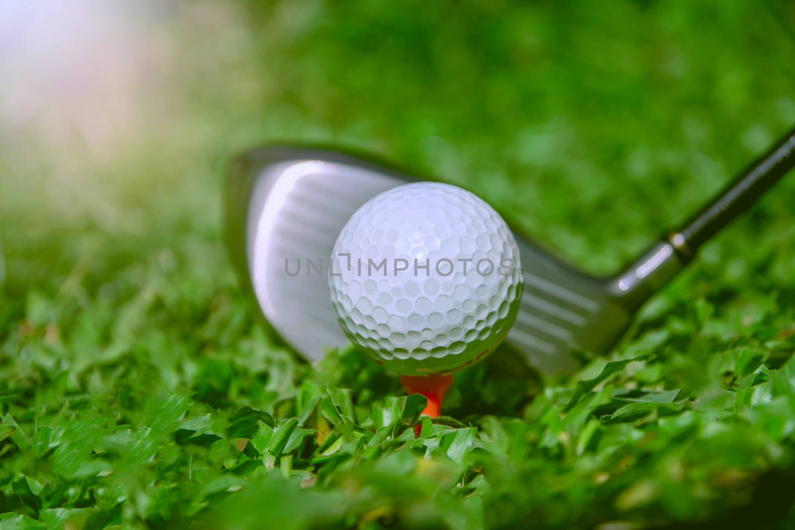 Golf club and ball in grass. The Golf club with golf ball close  by kirisa99