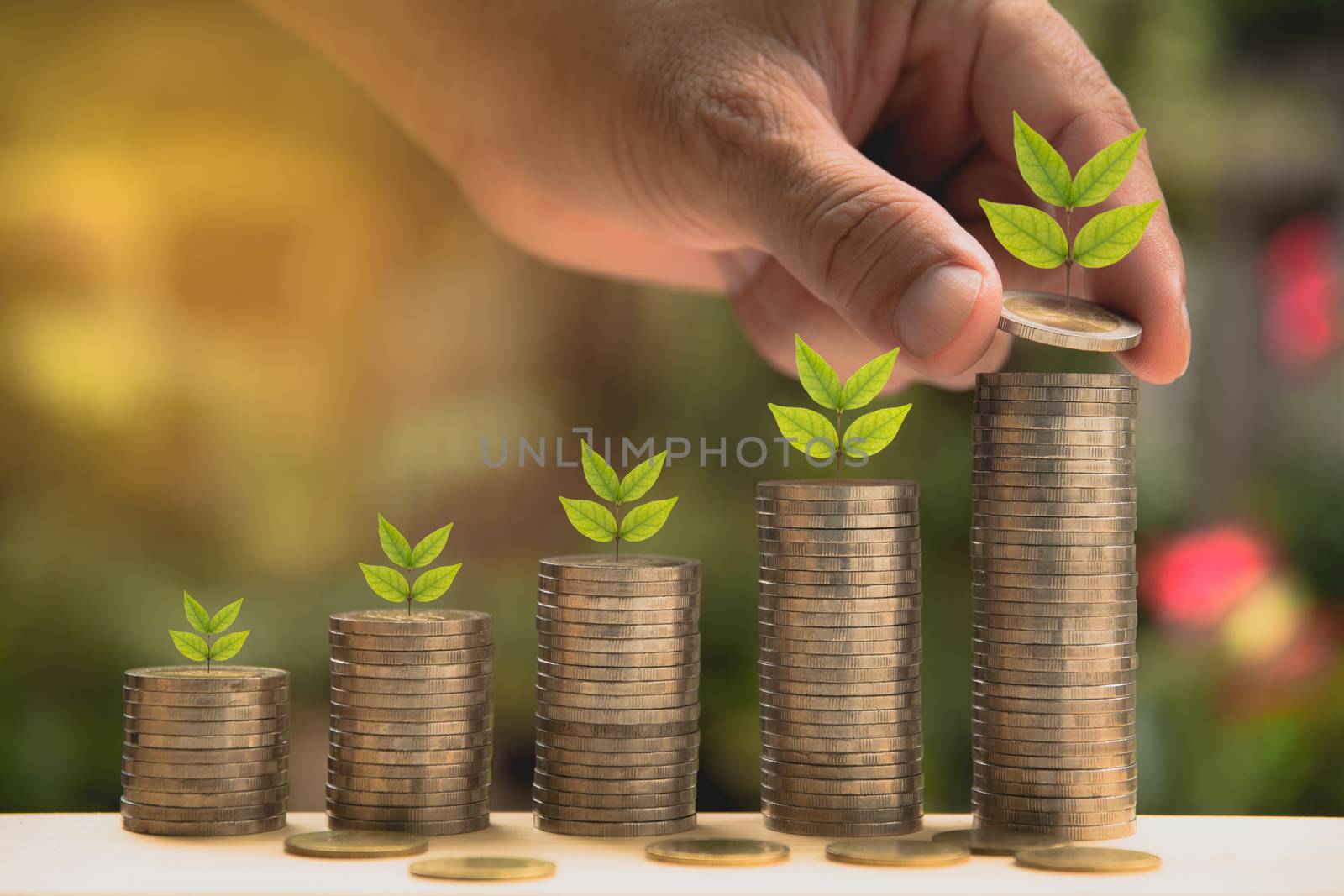 Saving money concept and hand putting money coin stack growing f by kirisa99