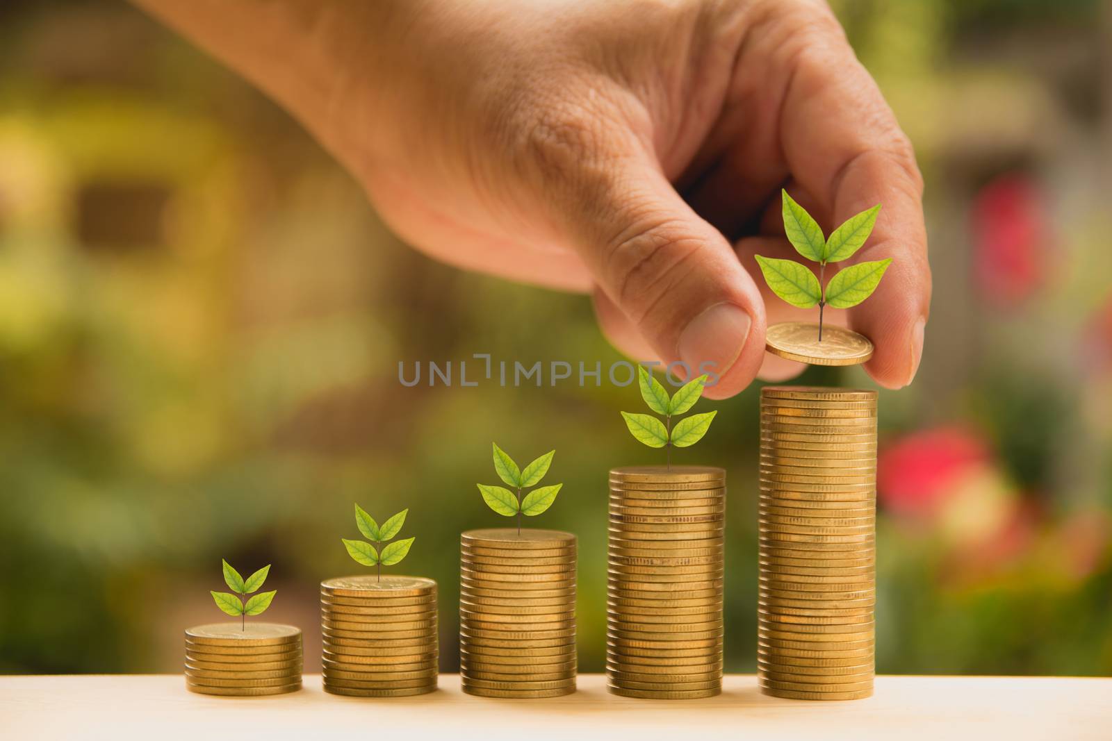 Saving money concept and hand putting money coin stack growing f by kirisa99