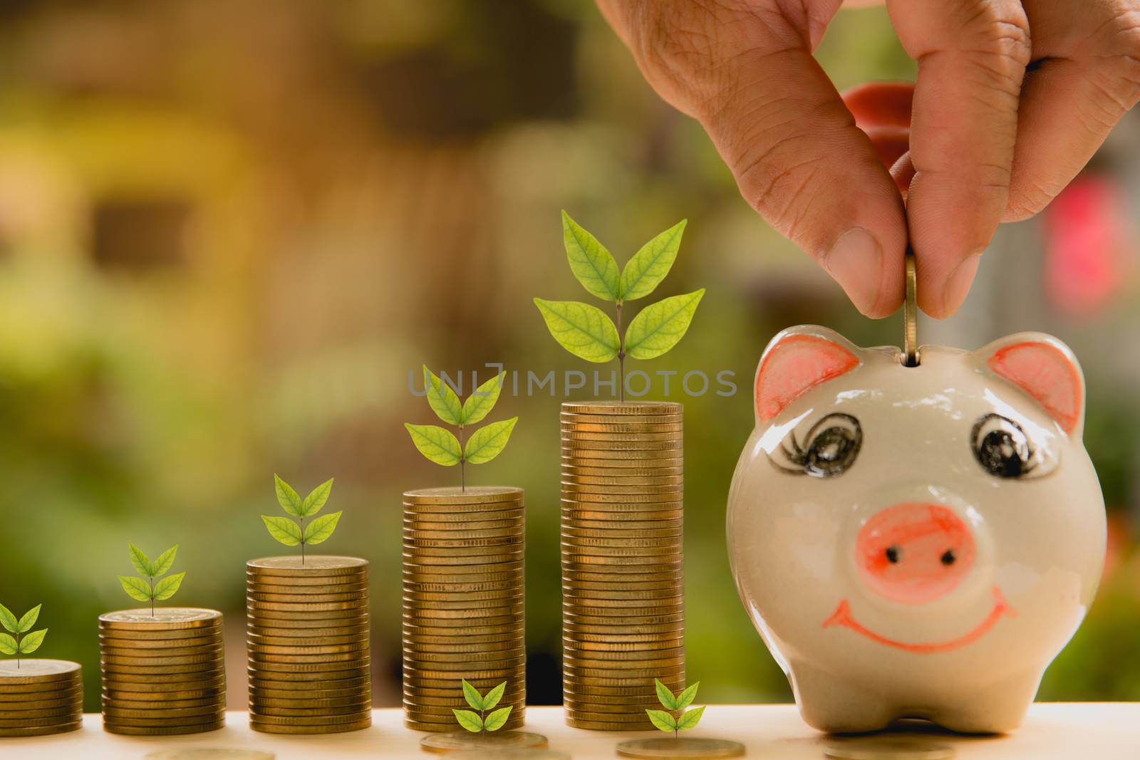 Saving money concept and hand putting money coin into piggy bank growing for business