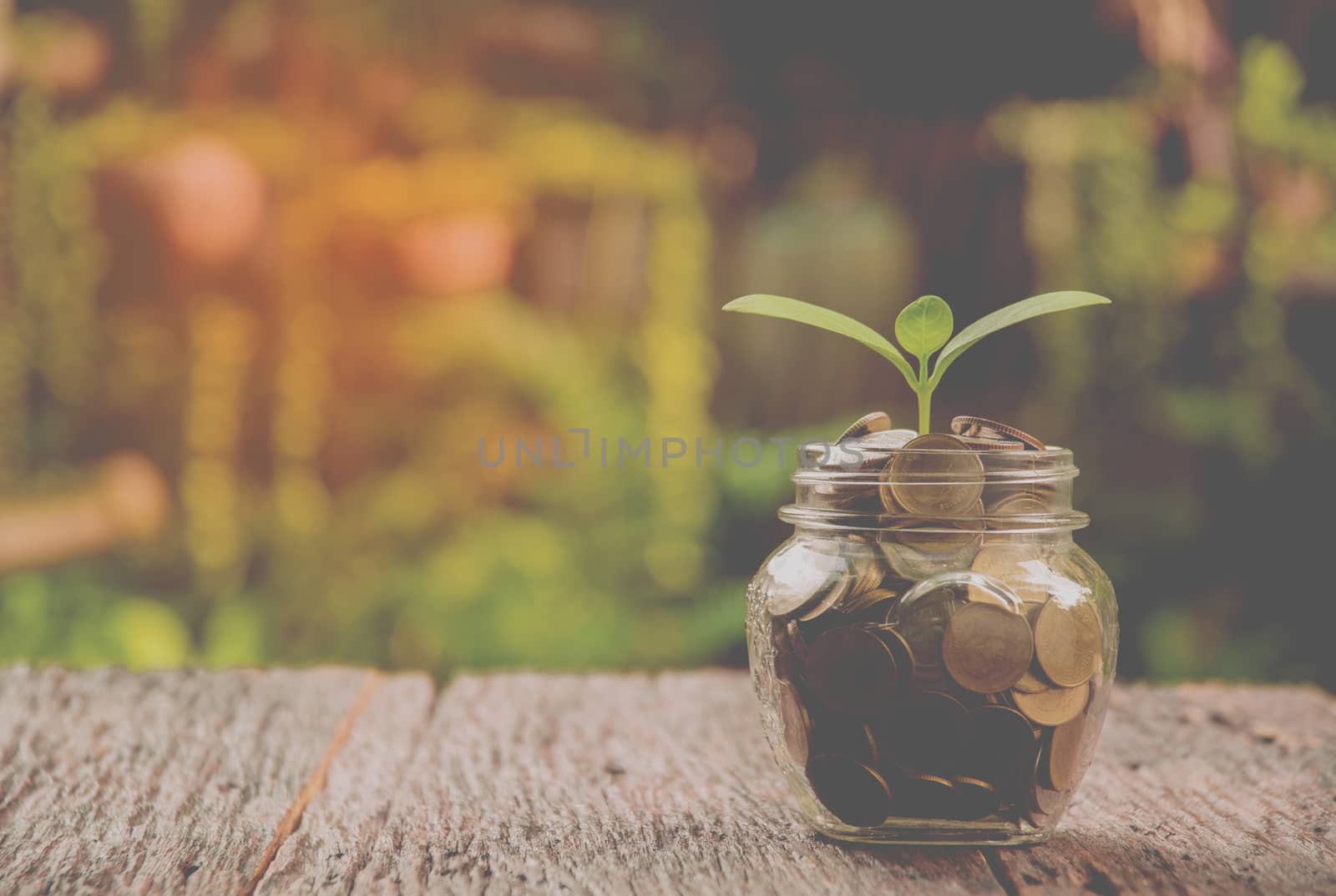 Coins in glass and stack coins with tree for business and tax se by kirisa99