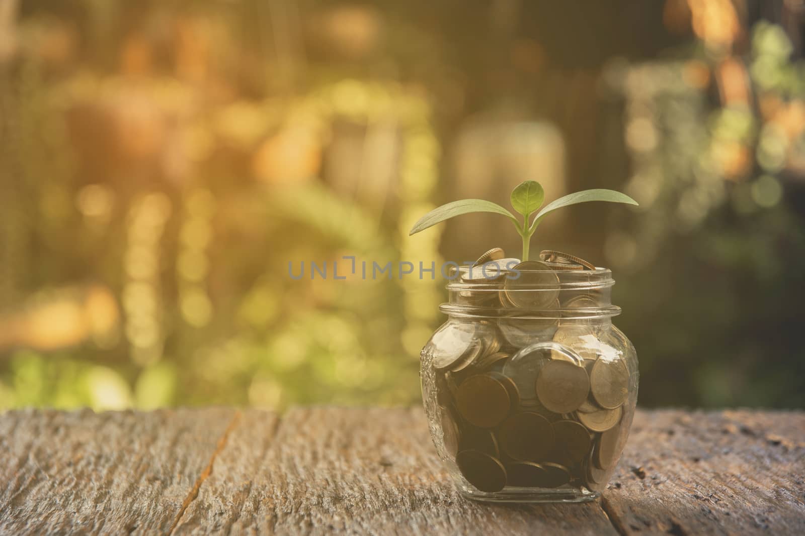 Coins in glass and stack coins with tree for business and tax season.