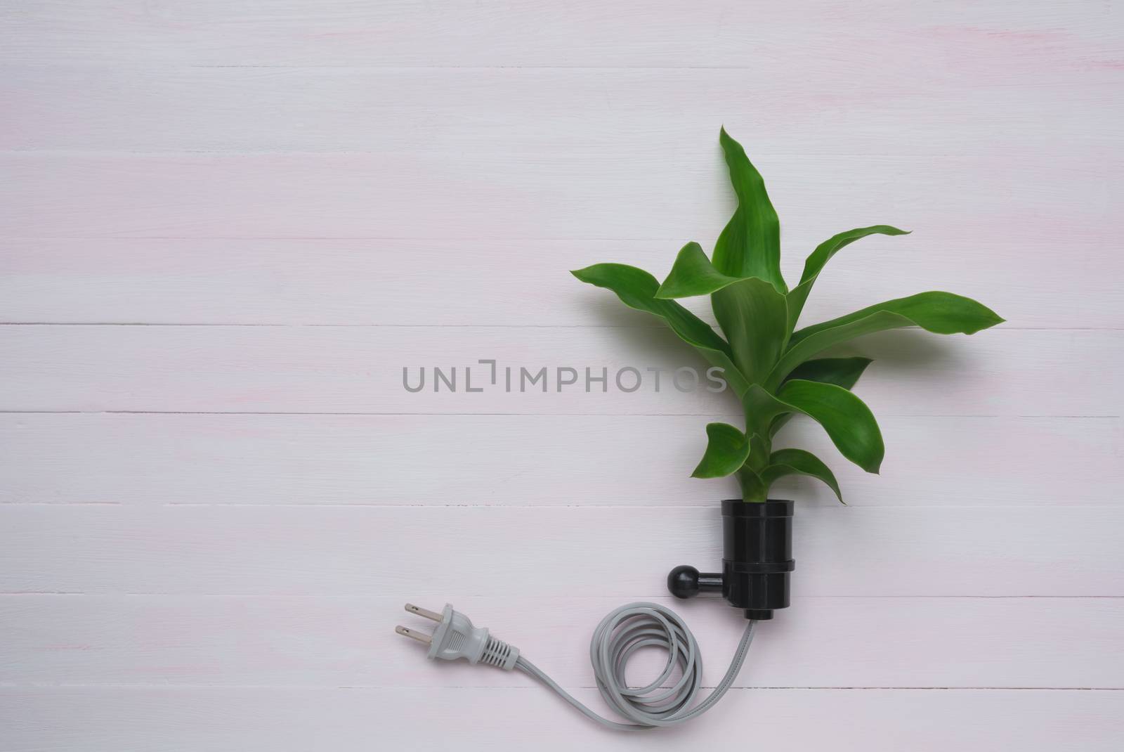 Electric plug with plant. Fresh green plant in plug for nature energy with copy space.