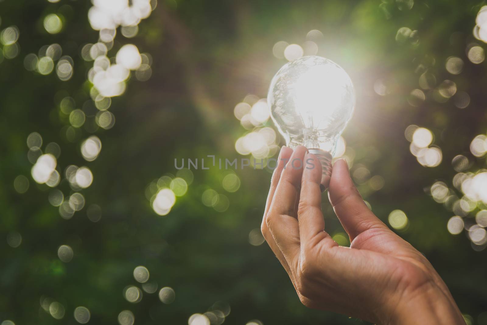 Hand of person holding light bulb for idea or success or solar e by kirisa99