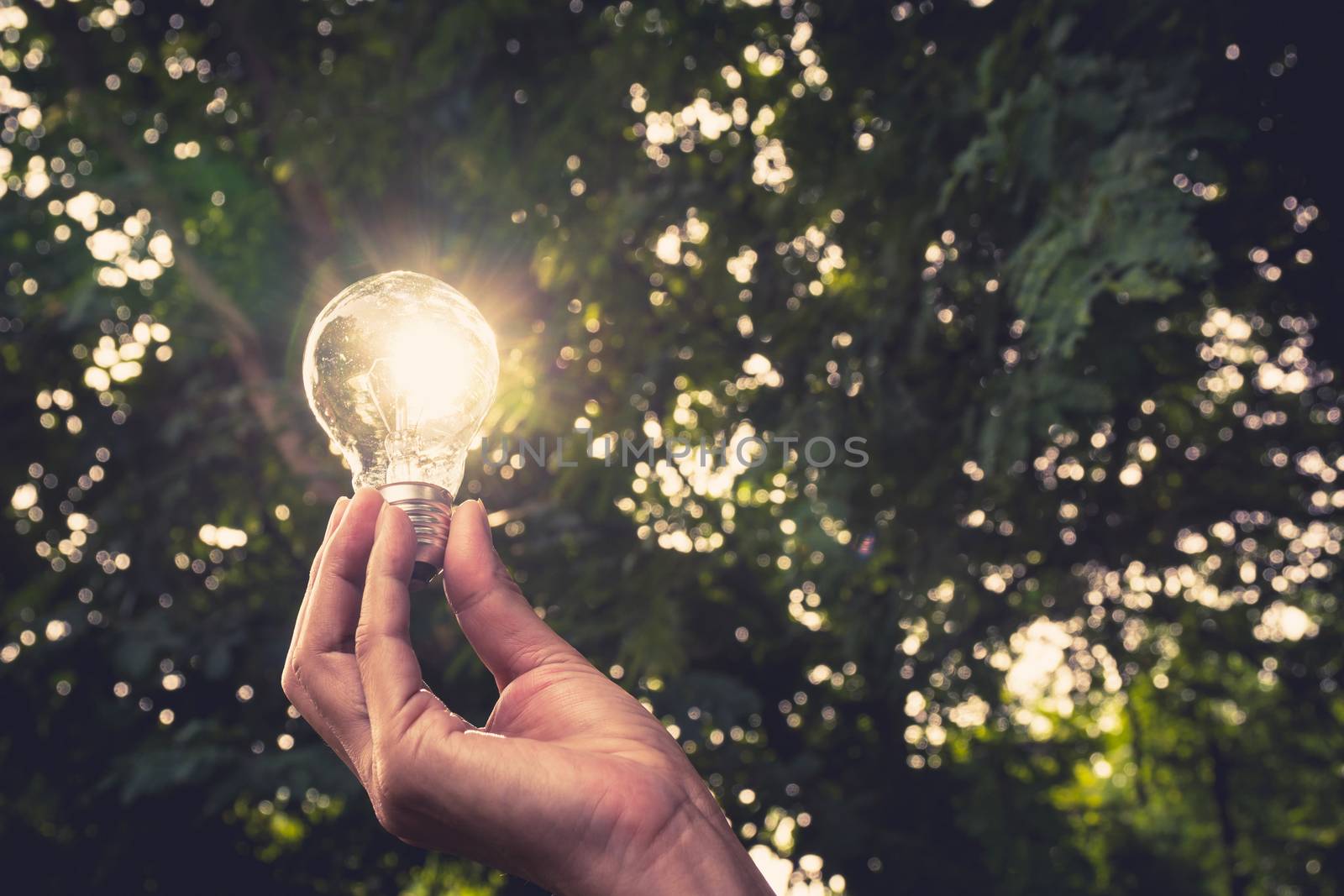 Hand of person holding light bulb for idea or success or solar e by kirisa99
