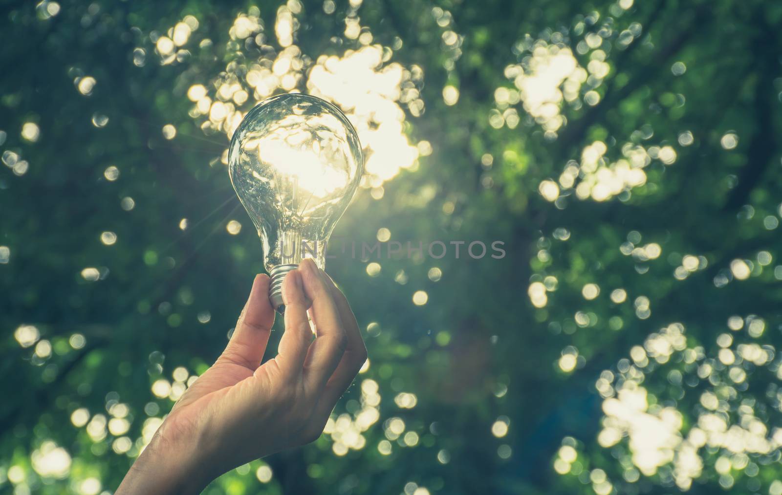 Hand of person holding light bulb for idea or success or solar e by kirisa99