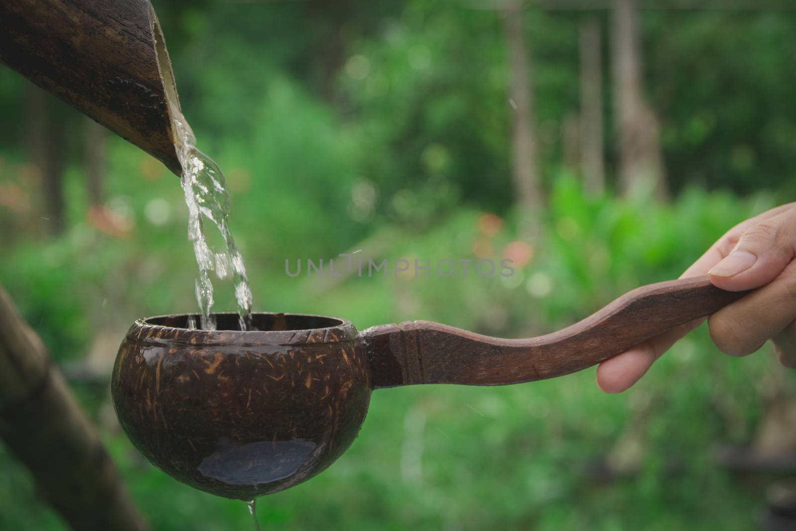 Water pouring in coconut shell and hand holding the water bowl made from coconut shell
