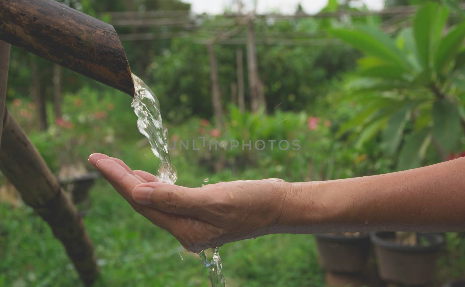 Water pouring in woman hand on nature background. by kirisa99