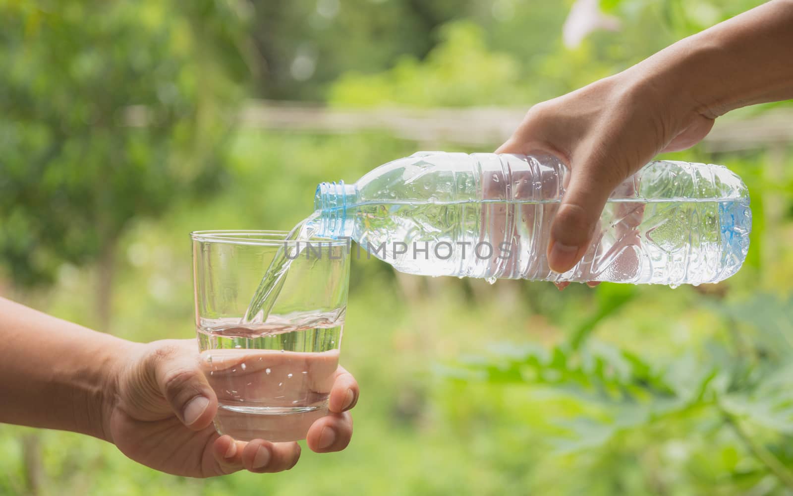 Female hand pouring water from bottle to glass on nature background