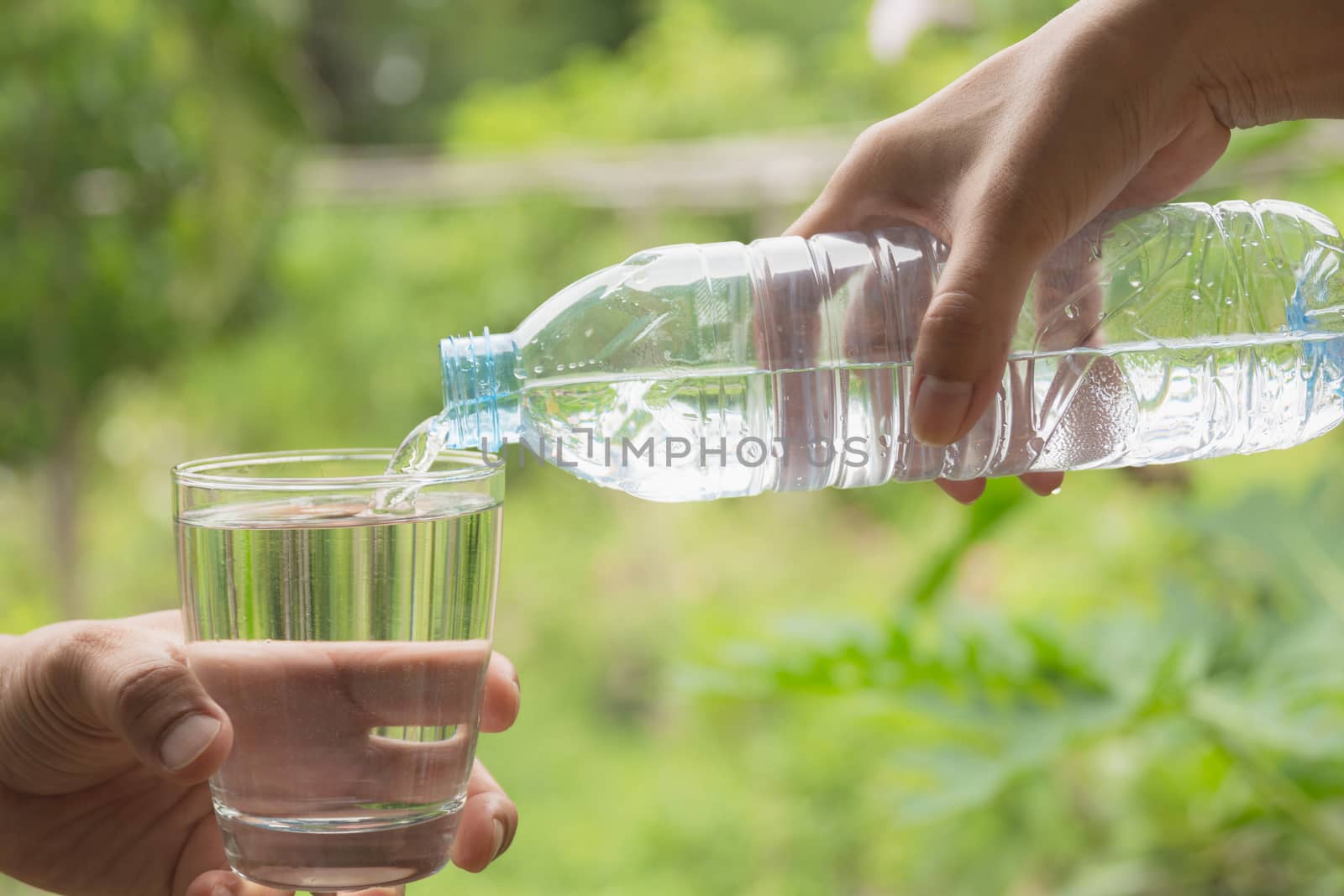 Female hand pouring water from bottle to glass on nature background