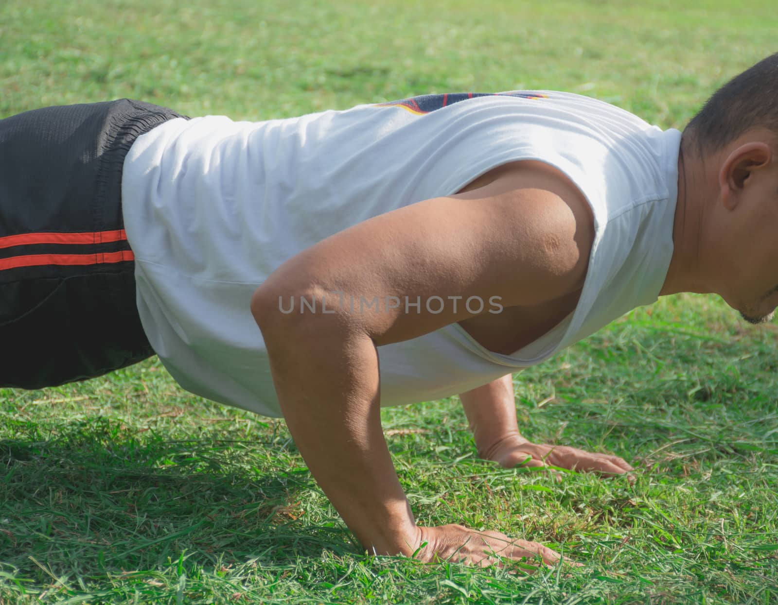 Athletic man doing push-ups on grass field for exercise. Muscular and strong man exercising.