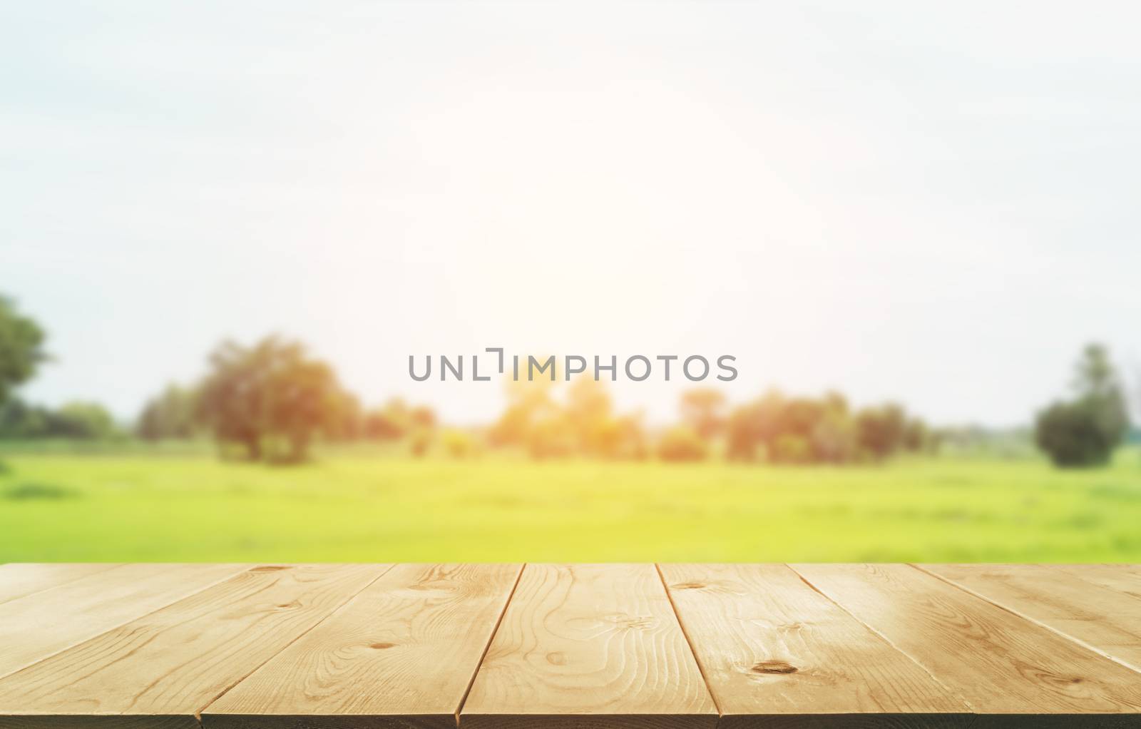 Empty wooden table with blurred green and sky natural abstract background.