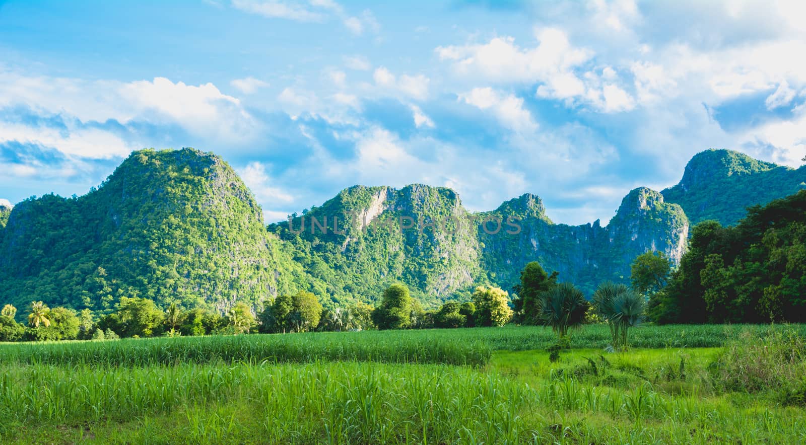 Beautiful Mountains with green plant and blue sky landscape in Thailand.