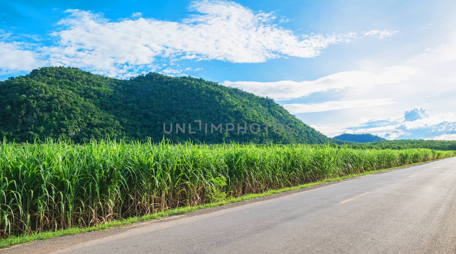 Beautiful mountain with road. Mountains with green plant and blu by kirisa99