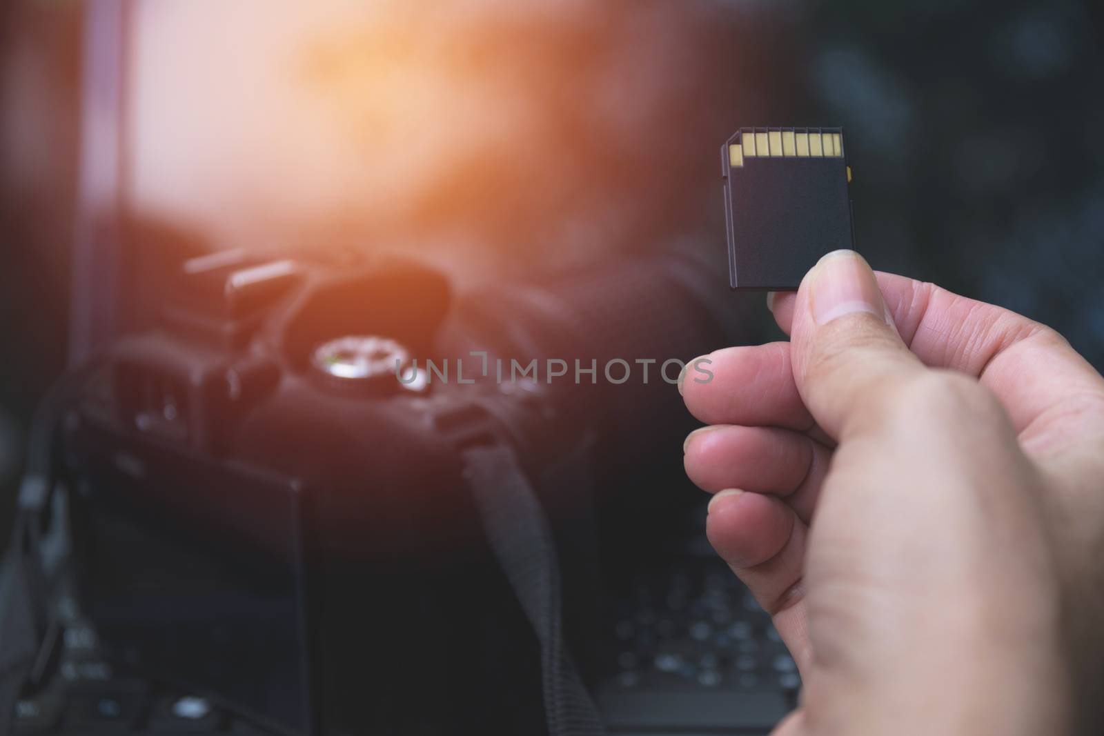 Photographer's hand holding memory card for preparing his camera by kirisa99