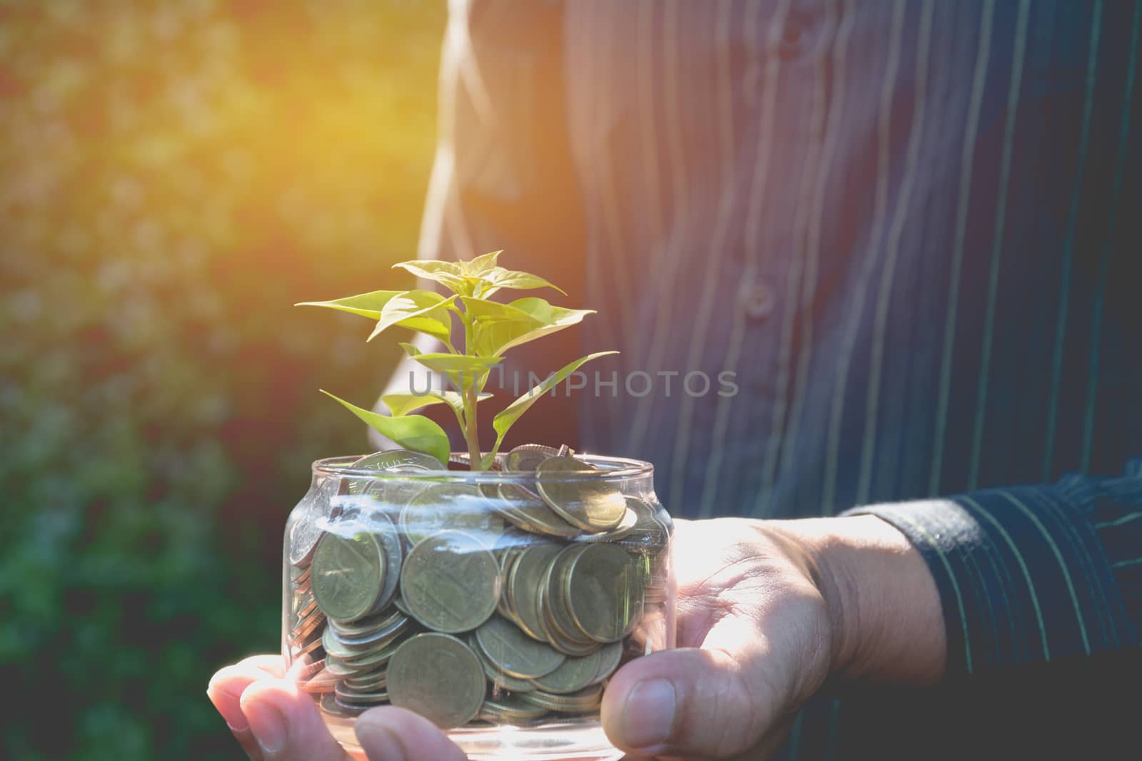 Hand of businessman holding tree and coins in glass financial and growing business concept.