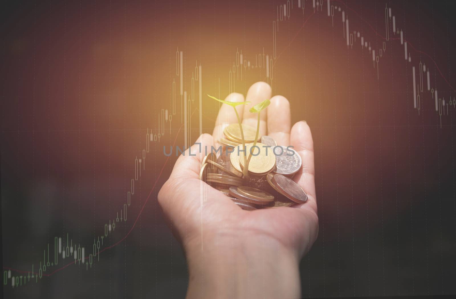 Double exposure indicator graph analysis stock with male holding money gold coins with plant in his hand for financial and saving money concept.