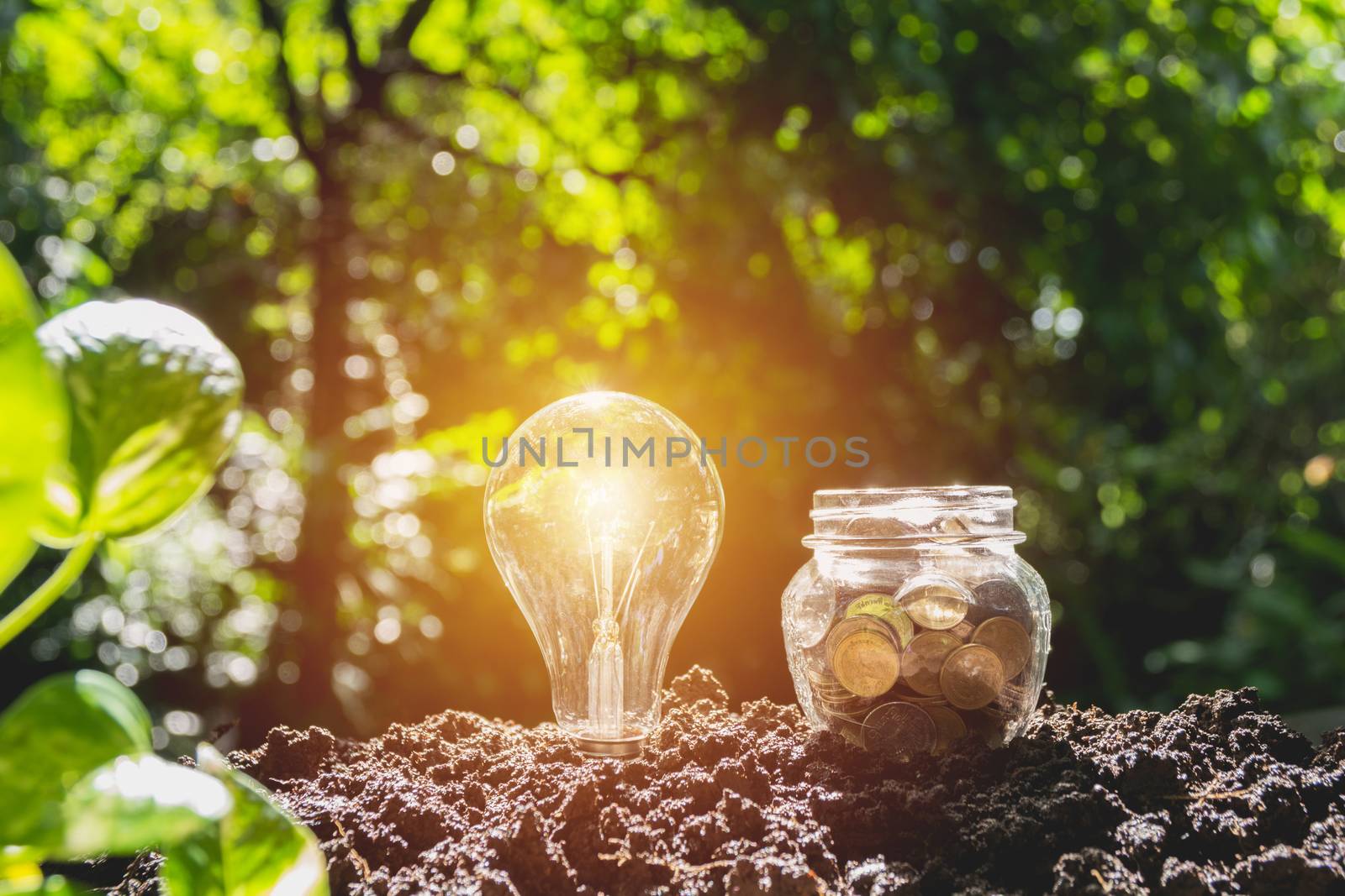 Energy saving light bulb and tree growing on stacks of coins on nature background.