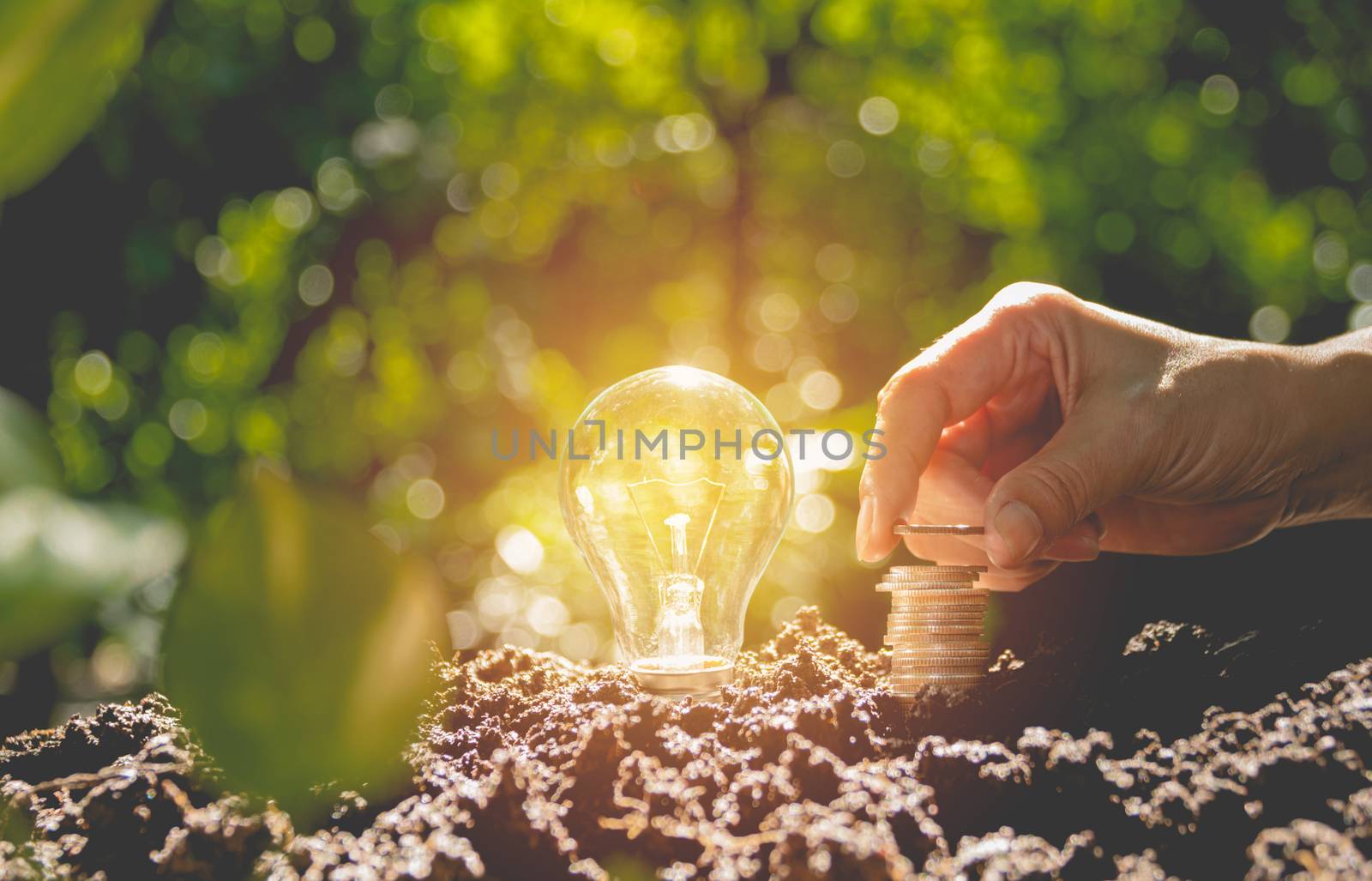 Energy saving light bulb and tree growing on stacks of coins on nature background.