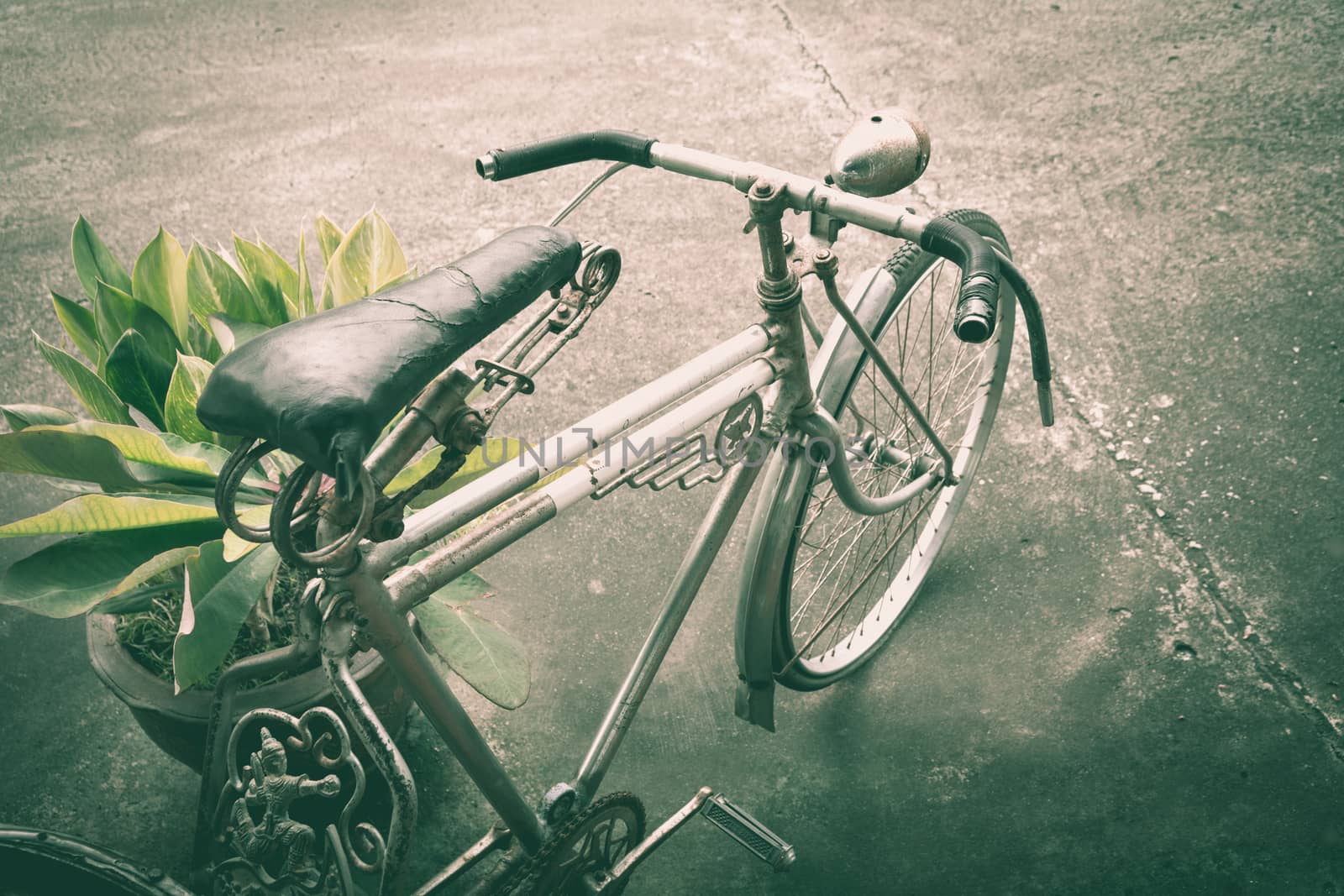 Old rusty bicycle near the pot of plant. Old bicycle leaning against pot.