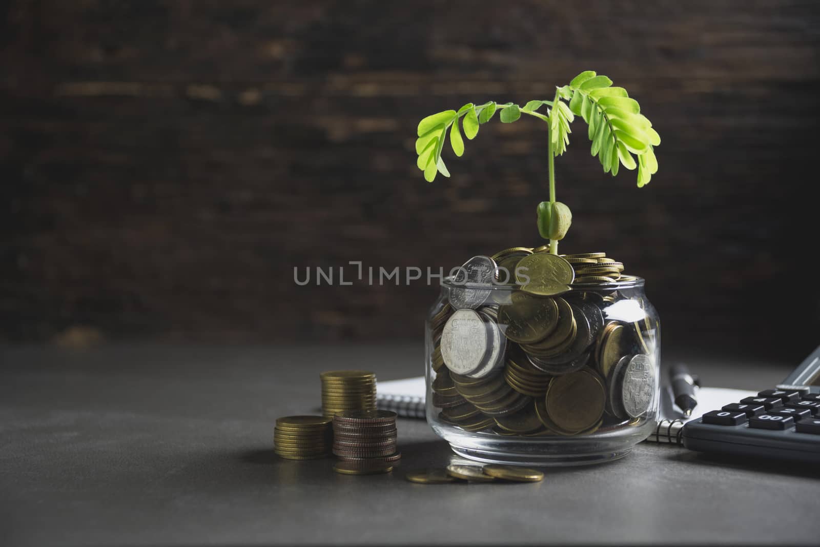 Young green plant with stack coin on ground for growing business financial concept.