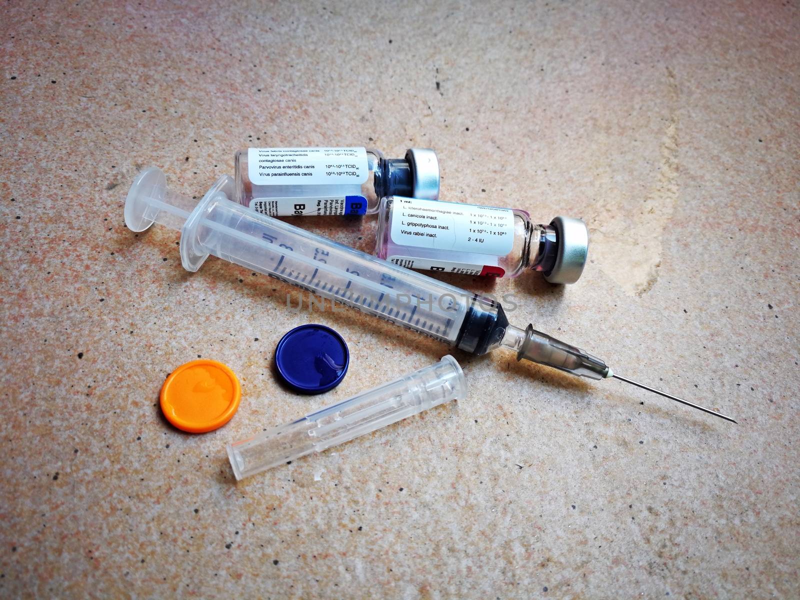 needles and vaccine for protect my dogs from  rabies, hydrophobia