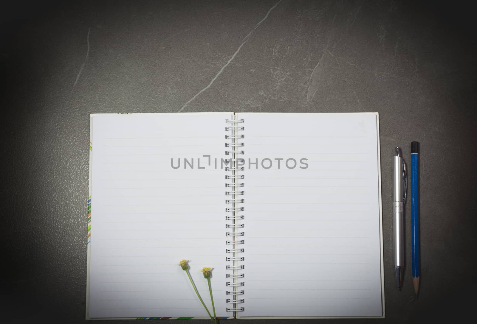 Top view of open book. Book open, with pen and flower on table dark tone background.