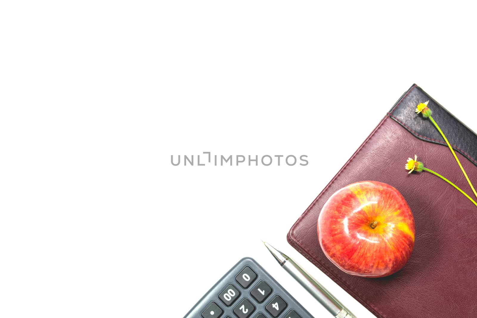 The apple with leather book, pen and calculator isolated on white background with copy space. 