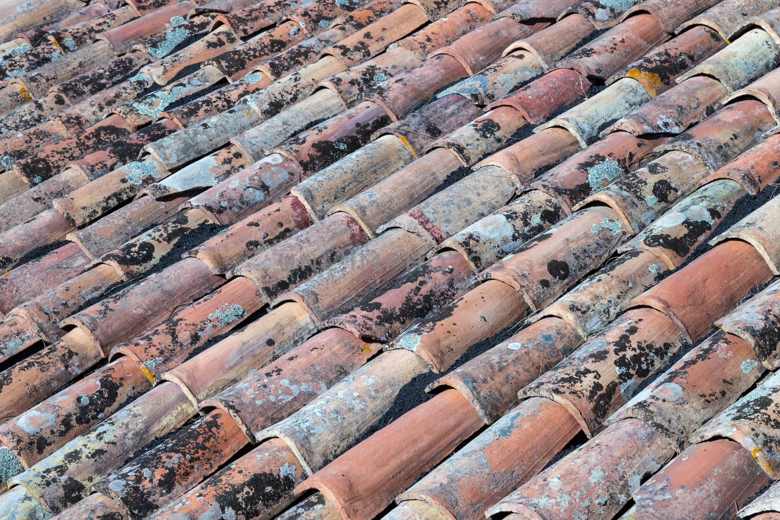 detail of an ancient Italian roof. Ideal for background