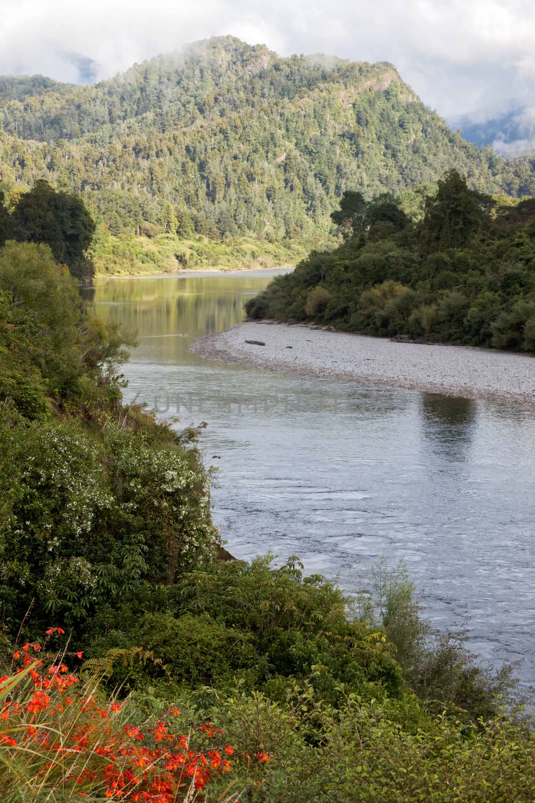 View of the Meandering Buller River in New Zealand