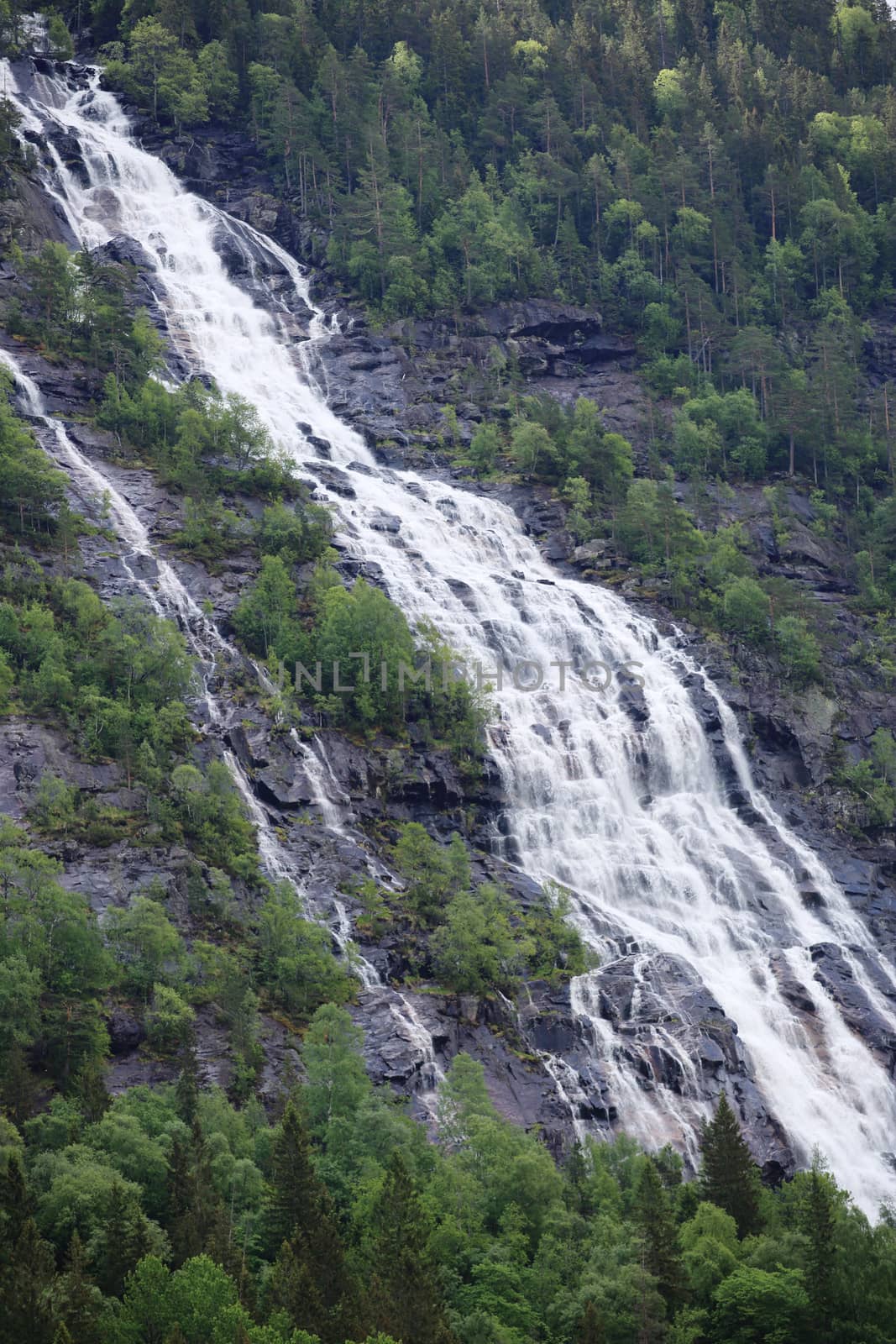Waterfall in forest in mountains by destillat