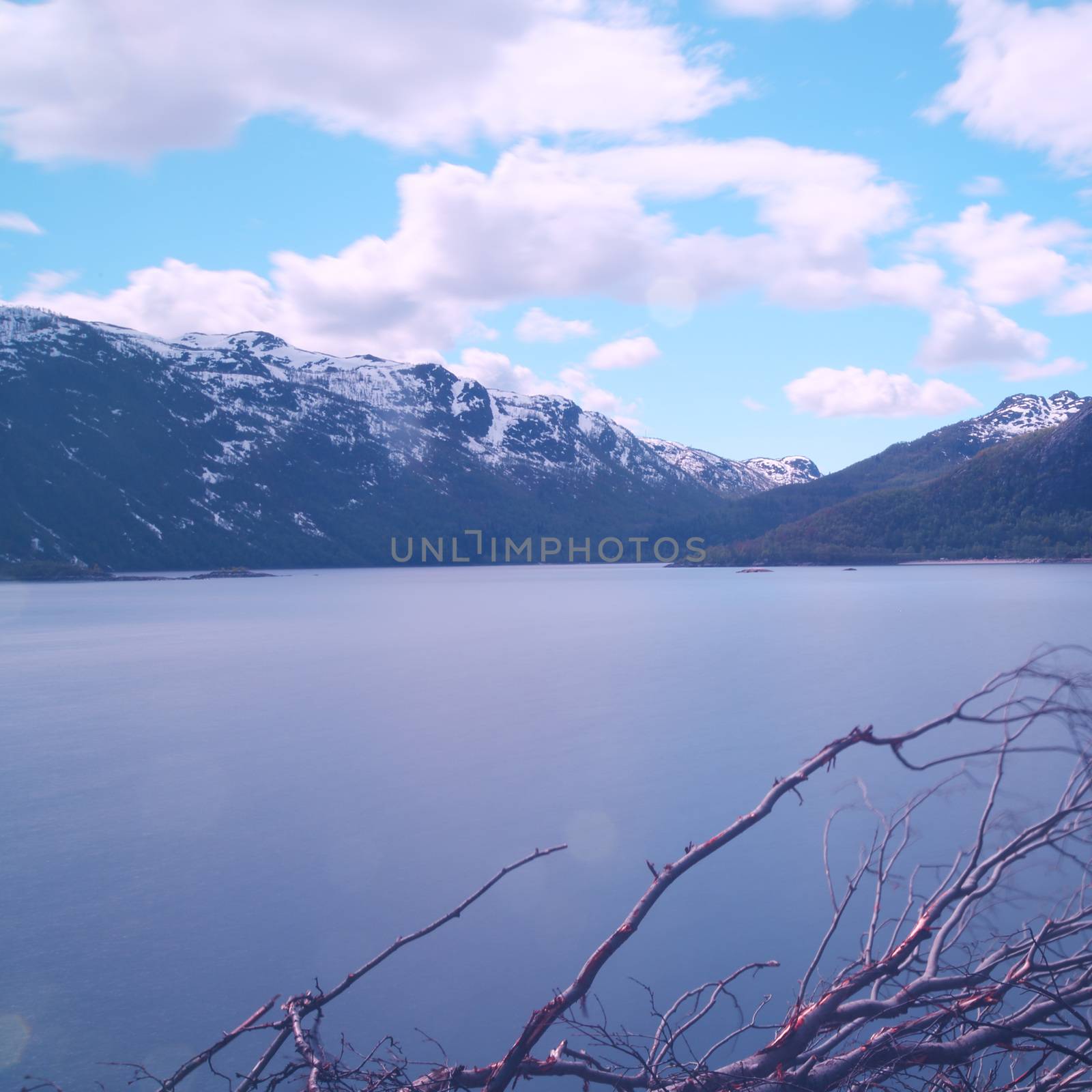 Summer Norway landscape with forest mountains and fjord, long exposure