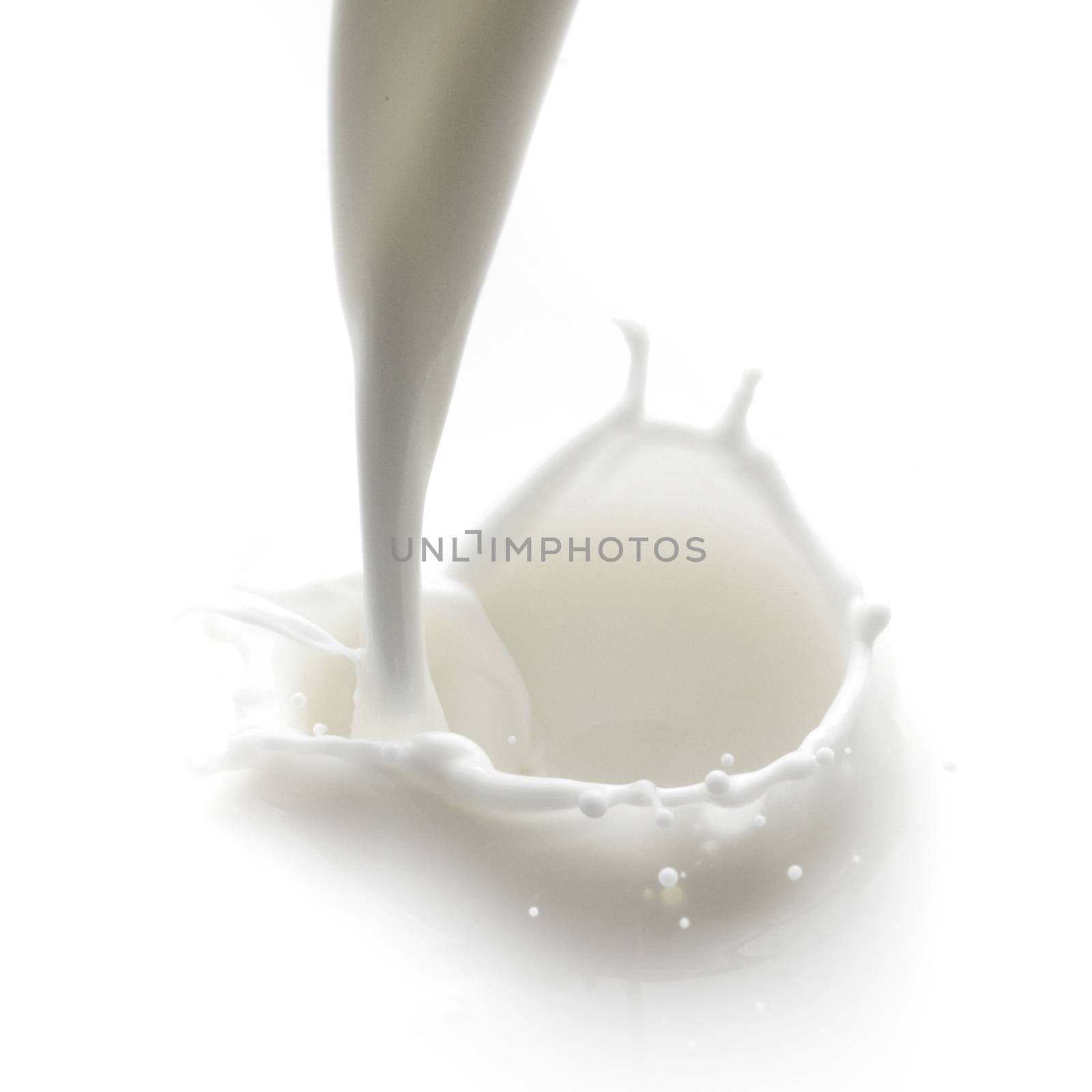 Pouring milk splash isolated on white background macro