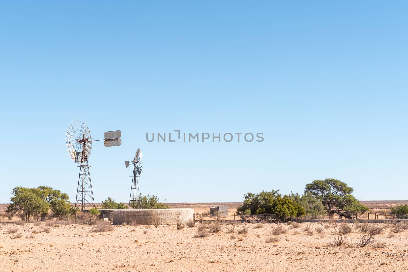 A farm scene with two windmills, a dam and a hut next to the C10-road between Velloorsdrif  border post and Karasburg in the southern part of Namibia