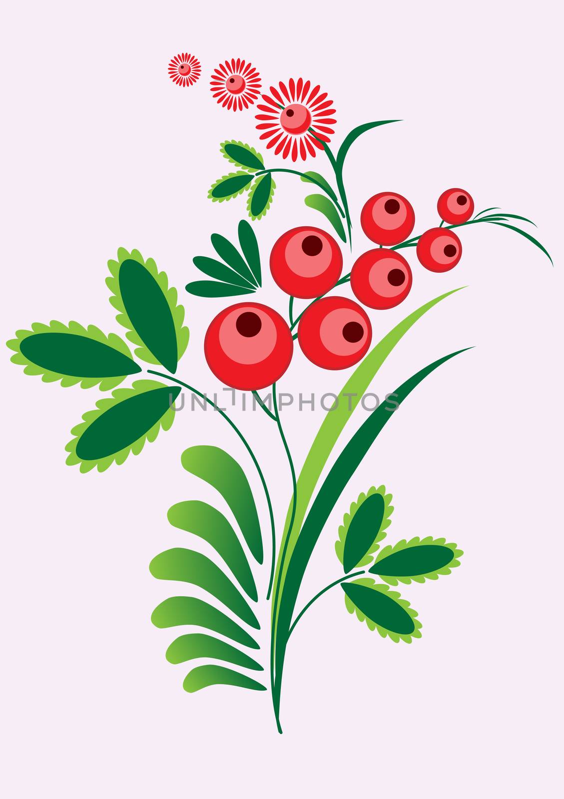 Rowan berries branch with berrie and leaves on white background. illustration