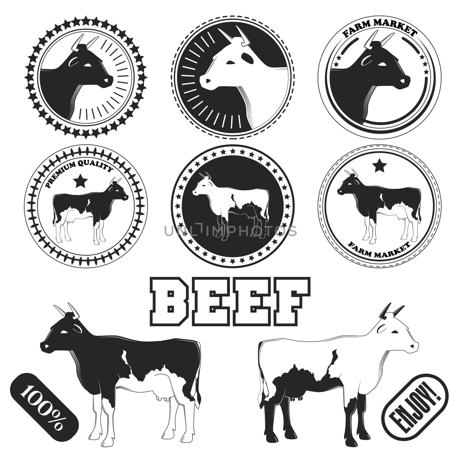 Set of premium beef labels, badges and design elements. illustration