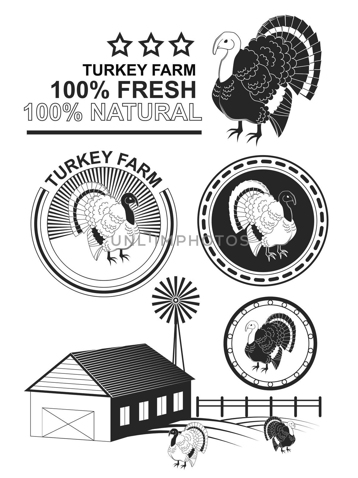 Set of premium turkey meat labels and stamps. by Adamchuk