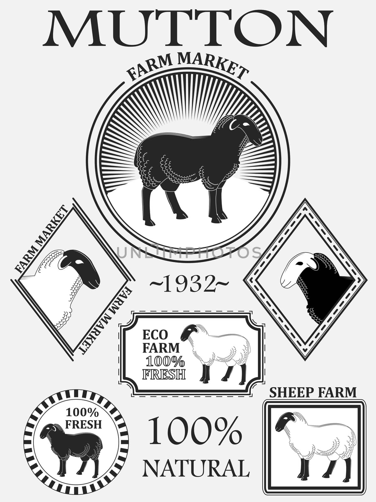 Set of premium lamb labels, mutton, badges and design elements. illustration