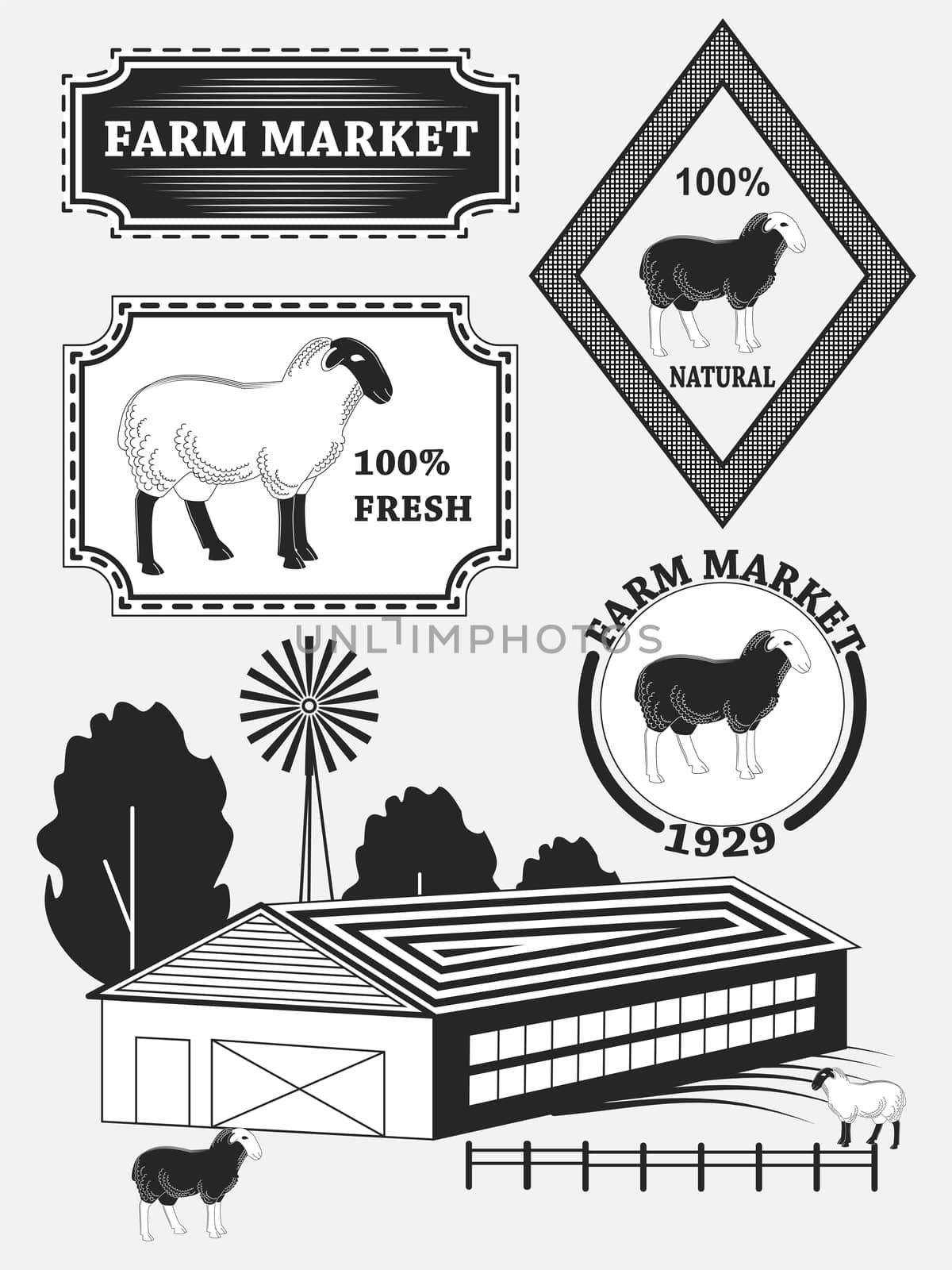 Set of premium lamb labels, mutton, badges and design elements. illustration